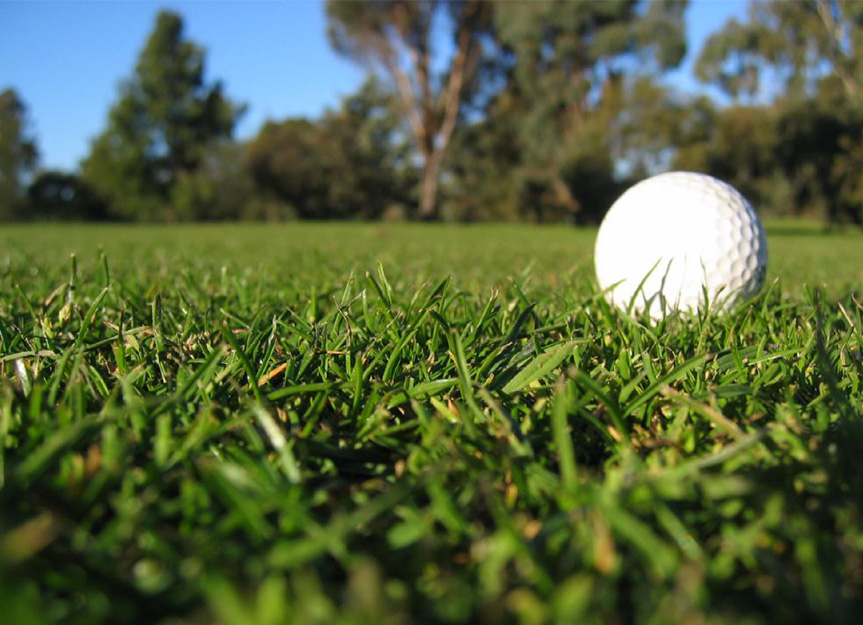 Universal Golf Activities